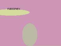 generic nasonex